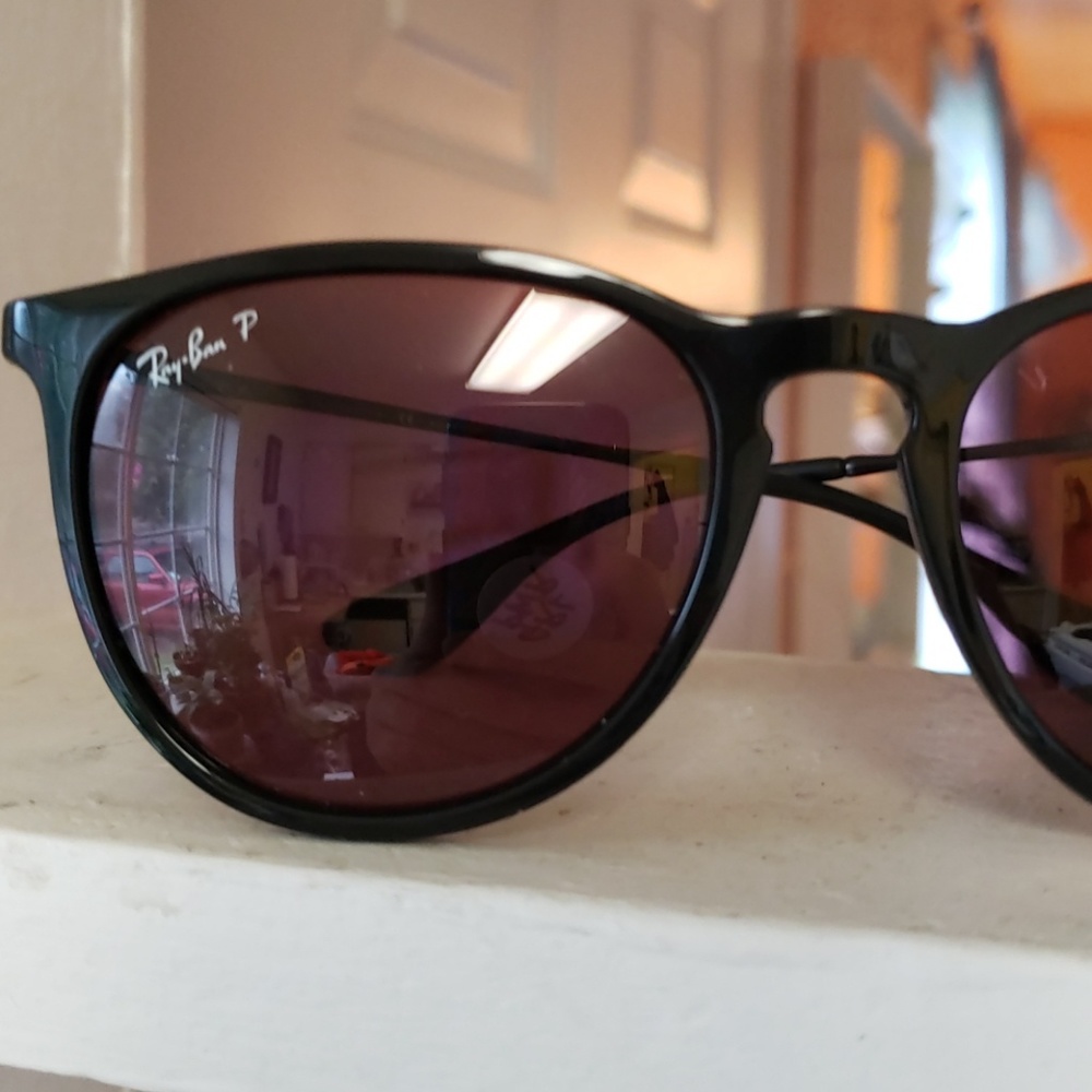 Rayban Polarized Erika Sunglasses